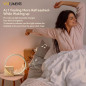 Réveil Vivilumens Sunrise avec Machine à Sons pour Grands Dormeurs Adultes Réveil Vivilumens Sunrise avec Machine à Sons pour Grands Dormeurs Adultes