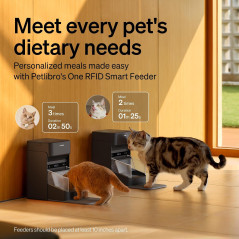 Distributeur automatique PETLIBRO RFID pour chats, capteur collier, repas personnalisés, anti-vol, Wi-Fi