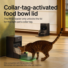 Distributeur Automatique PETLIBRO RFID pour Chats Multi-Repas