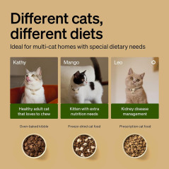 Distributeur Automatique PETLIBRO RFID pour Chats Multi-Repas