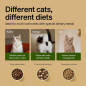 Distributeur automatique PETLIBRO RFID pour chats, capteur collier, repas personnalisés, anti-vol, Wi-Fi Distributeur automatique PETLIBRO RFID pour chats, capteur collier, repas personnalisés, anti-vol, Wi-Fi