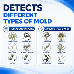Mold Test Kit for Home – 8 DIY Tests for Air, Surfaces & HVAC