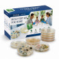 Mold Test Kit for Home – 8 Tests for Air, Surfaces & HVAC, Fast Accurate Black Mold Detection with Guide