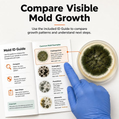 Varify Mold Test Kit: Easy Home Air Quality & Black Mold Detector