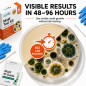 Varify Kit Test Moisissure Maison | Détecteur Moisissure Noire & Qualité Air | 6 Boîtes de Pétri Inclus Varify Kit Test Moisissure Maison | Détecteur Moisissure Noire & Qualité Air | 6 Boîtes de Pétri Inclus