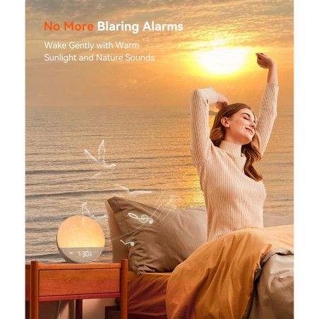 Dreamegg Sunrise Alarm Clock with Natural Wake-Up Light & White Noise Machine, Bedroom Sleep Aid