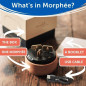 Morphée Sleep Sound Machine & Meditation Device | 210 Sessions, 4 Languages, White Noise & Therapy Morphée Sleep Sound Machine & Meditation Device | 210 Sessions, 4 Languages, White Noise & Therapy