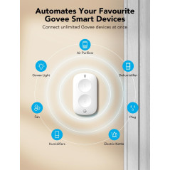 Interrupteur Double Bouton GoveeLife - Contrôle Multi-Appareils