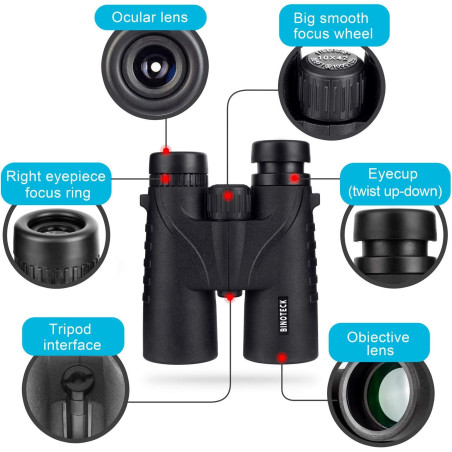 Jumelles 10x42 HD Professionnelles avec Prisme BAK4 pour Observation, Chasse, Voyage, Sport + Sac