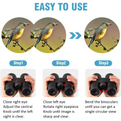 Jumelles 10x42 HD BAK4 pour Adultes - Birdwatching Pro