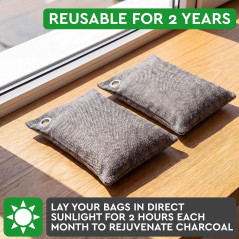 Absorbeur d'Odeurs Charbon Actif pour Maison et Voiture