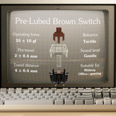 Keychron C2 Full Size Wired Mechanical Keyboard Brown Switch Retro Design
