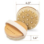 Brosse Corps Dry Brushing - Exfoliation Peau Sèche, Drainage Lymphatique, Anti-Cellulite - Brosse Spa Bio Poils de Sanglier Brosse Corps Dry Brushing - Exfoliation Peau Sèche, Drainage Lymphatique, Anti-Cellulite - Brosse Spa Bio Poils de Sanglier