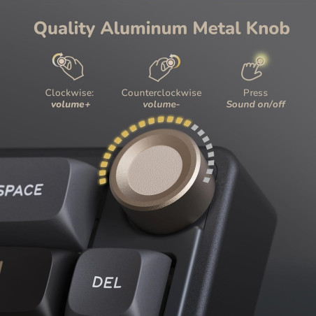 Clavier Gaming RK ROYAL KLUDGE R65 Filaire 60% RGB Mécanique Gasket Mount, 66 Touches Hot Swappable, Noir