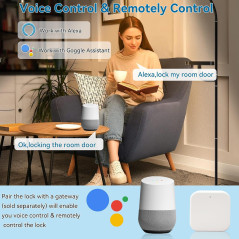 Serrure Intelligente Empreinte Digitale avec Poignée & App