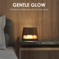 Diffuseur d'aromathérapie 2-en-1 SALKING lampe en sel de l'Himalaya pour la maison Diffuseur d'aromathérapie 2-en-1 SALKING lampe en sel de l'Himalaya pour la maison