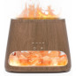Diffuseur d'aromathérapie 2-en-1 SALKING lampe en sel de l'Himalaya pour la maison Diffuseur d'aromathérapie 2-en-1 SALKING lampe en sel de l'Himalaya pour la maison