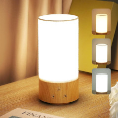 Light Therapy Lamp 10,000 LUX UV Free with Adjustable Brightness & Color