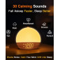 Sunrise Alarm Clock with Sound Machine – Gradual Light Wake-Up & Nature Sounds Sunrise Alarm Clock with Sound Machine – Gradual Light Wake-Up & Nature Sounds