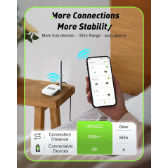RainPoint Timer Eau WiFi 2 Zones, Contrôle App, Laiton