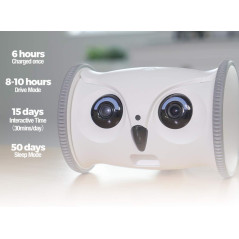 Skymee Owl Robot, the interactive robot for your dog