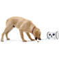 SKYMEE Owl Robot: Interactive Pet Camera & Treat Dispenser - Keep Your Furry Friend Happy! SKYMEE Owl Robot: Interactive Pet Camera & Treat Dispenser - Keep Your Furry Friend Happy!