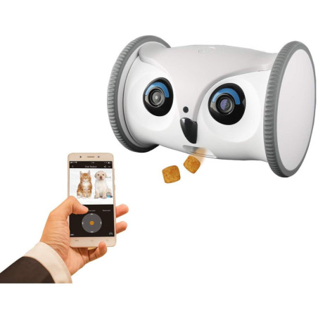 Skymee Owl Robot, the interactive robot for your dog