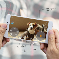 Skymee Owl Robot, le robot interactif pour votre chien